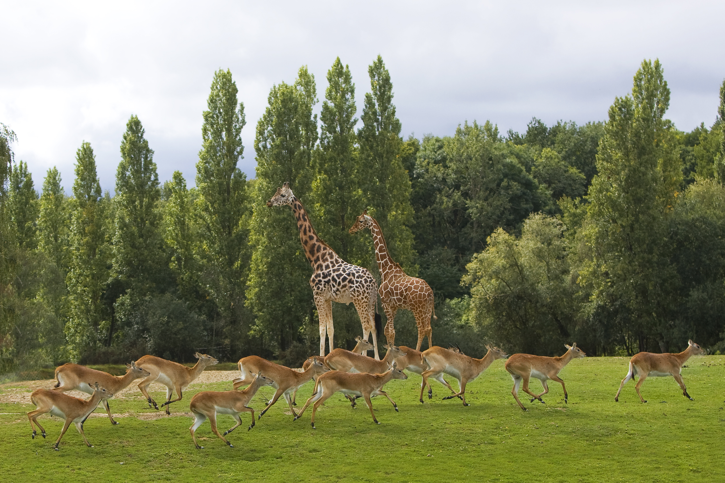 tourism outside of paris