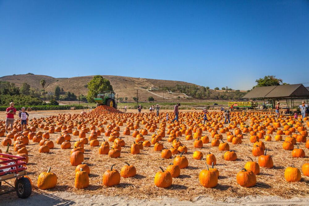 underwood-farms-09-30-17-064-x2-2-1024x683