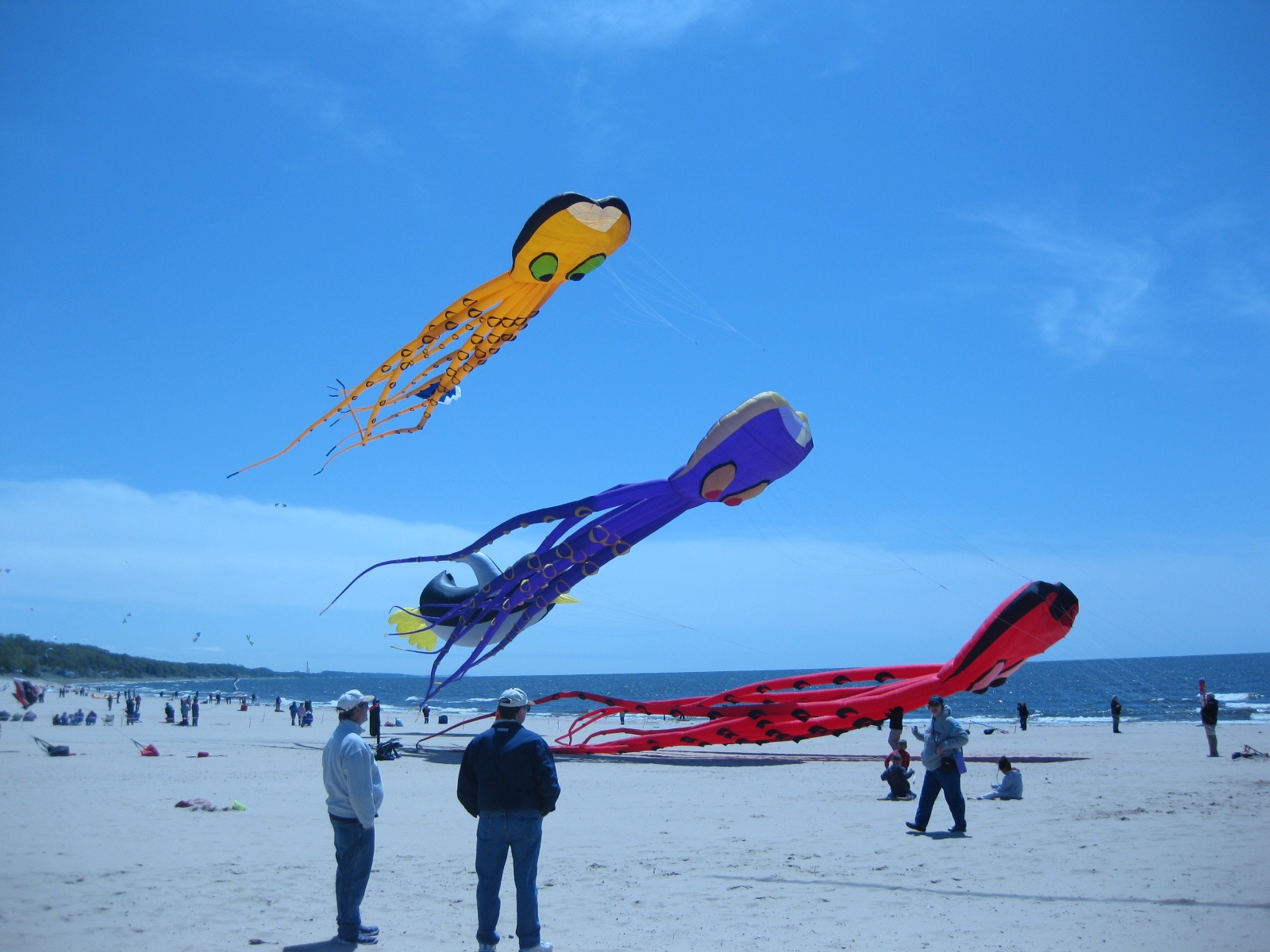 Best Kite Festivals in the US MiniTime