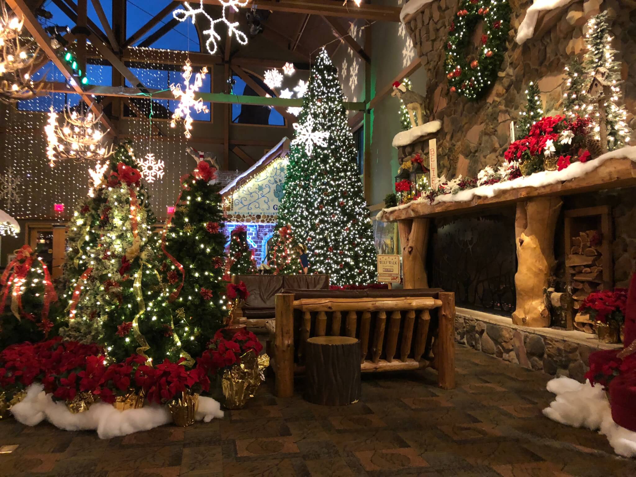 Things to Do for Christmas with Kids in the Southeast - MiniTime
