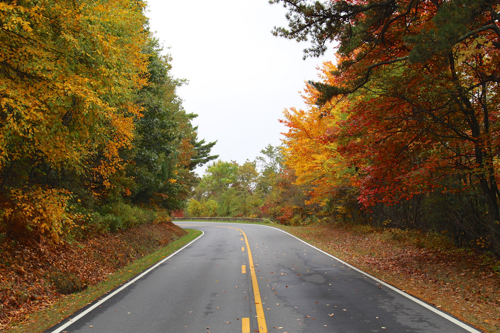10 Best Fall Drives In The US MiniTime five-scenic-texas-hill-country-drive-treetop-river-cabins