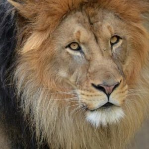 Omni Shoreham Hotel Washington D.C., Washington, District of Columbia