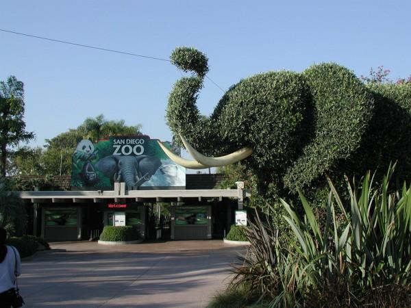 1_Day_of_Zoos_and_Museums_in_San_Diego_with_Little_and_Big_Kids-27252-5837427315c04959a8c4281d33fa7338