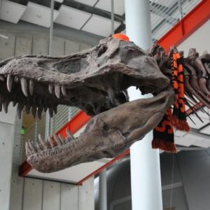 Stanyan Park Hotel San Francisco, San Francisco, California