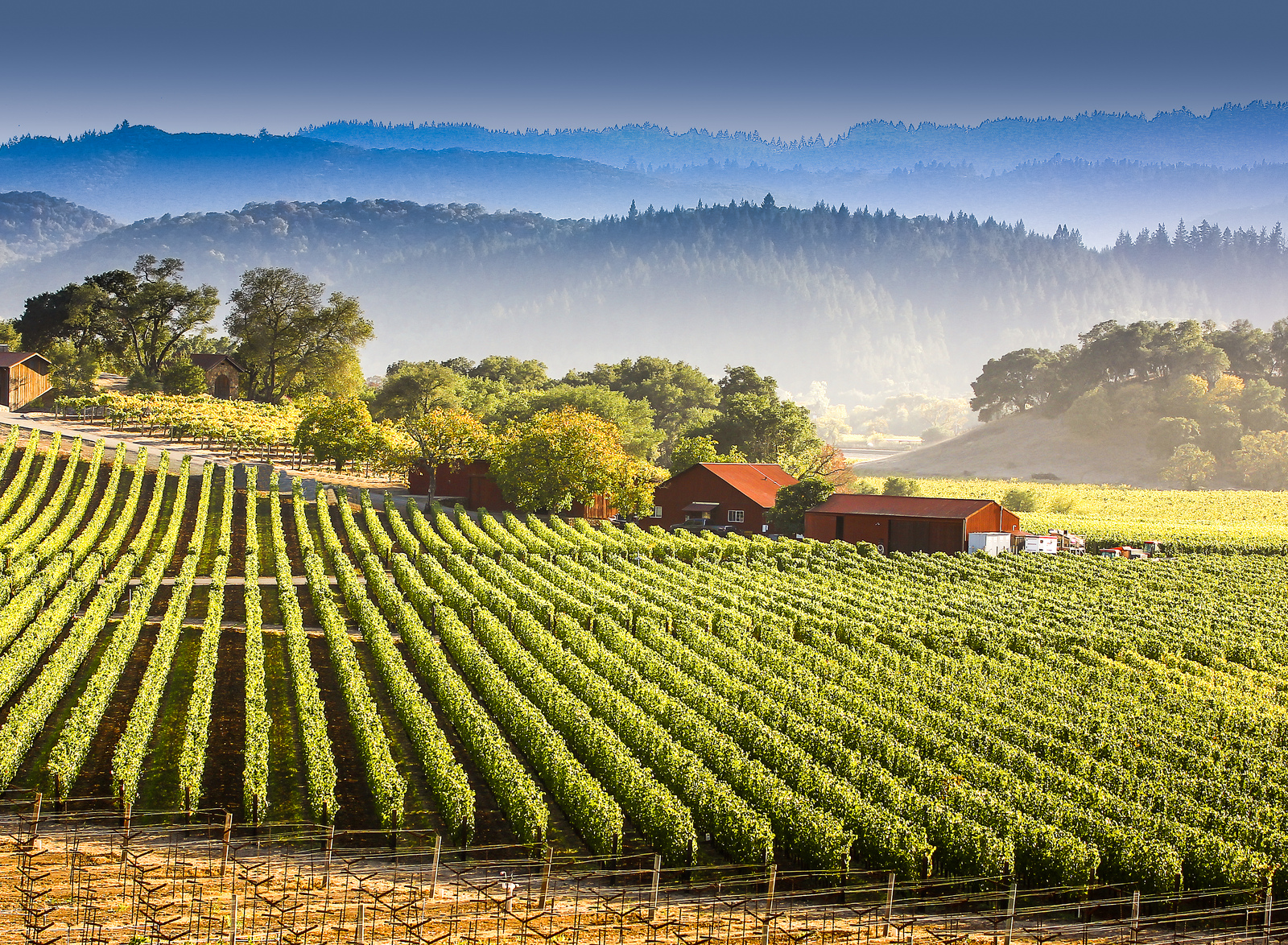 napa valley trip ideas