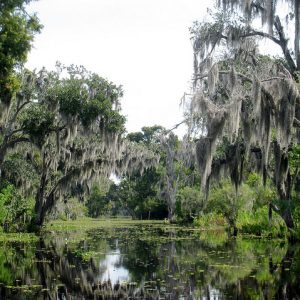 Hilton Garden Inn French Quarter New Orleans, New Orleans, Louisiana