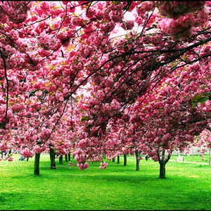 Wyndham New Yorker Hotel New York City, New York City, New York