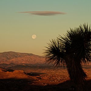 Omni Hotel San Diego, San Diego, California
