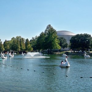 Staybridge Suites West Fort Worth, Fort Worth, Texas