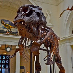 Swissotel Hotel Chicago, Chicago, Illinois