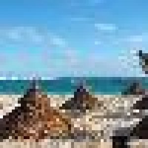 Ritz Carlton Hotel Naples (Florida), Naples, Florida