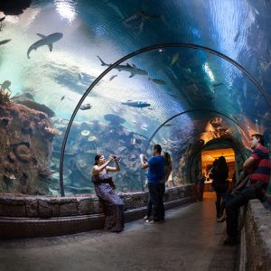 Encore Resort Las Vegas, Las Vegas, Nevada