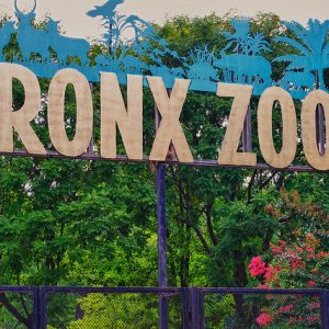 Wyndham New Yorker Hotel New York City, New York City, New York