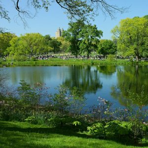 Dream Downtown Hotel New York City, New York City, New York