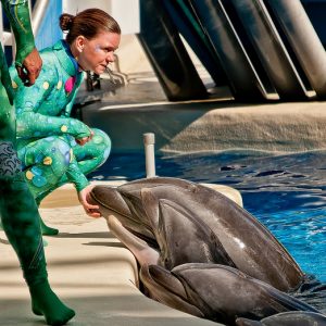 Marriotts Cypress Harbour Resort Orlando, Orlando, Florida