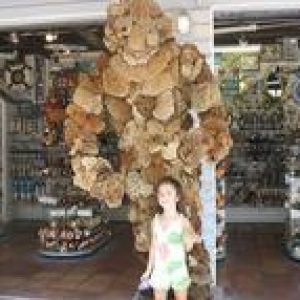 Reach Resort Key West, Key West, Florida