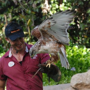 La Valencia Hotel San Diego, San Diego, California