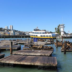 Galleria Park Hotel San Francisco, San Francisco, California