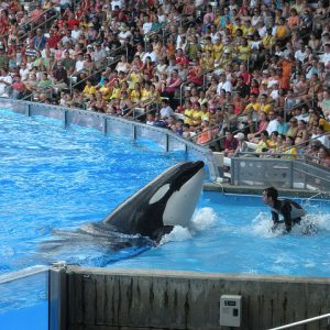 Days Inn International Drive Orlando, Orlando, Florida