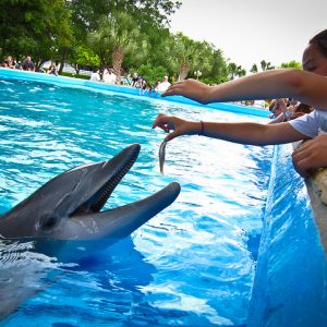 Westin Riverwalk Hotel San Antonio, San Antonio, Texas