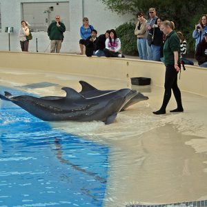 Hampton Inn Tropicana Las Vegas, Las Vegas, Nevada