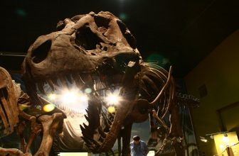 10 Dinosaur Attractions Kids Will Dig