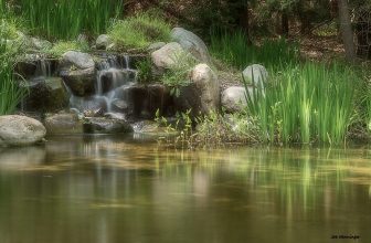 Kids Dig These 6 Playful Botanical Gardens