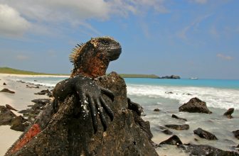 Set Sail: 5 Summer Cruises for Non-Cruisers