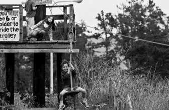 Forget the Fog: 5 Summer Activities in the San Francisco Bay Area