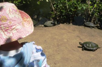 4 Places to Explore L.A.’s Wild Side