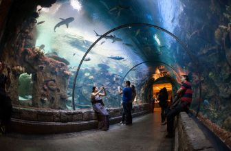 5 Best Indoor Attractions for Escaping the Las Vegas Heat