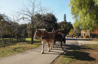 5 Historical Farms to Visit with the Kids