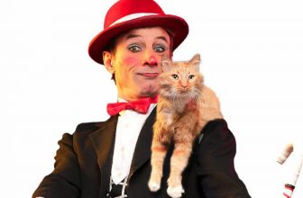 5 Must See Kid-Friendly Shows in Las Vegas