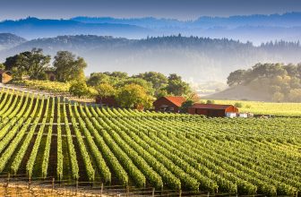 5 Unexpected Finds in Napa Valley