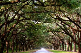 Georgia’s State Parks: 5 Ways to Have Affordable Fun