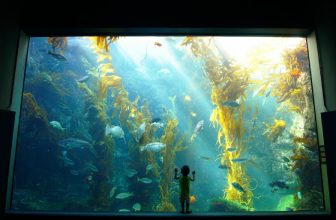 6 College Campuses with Kid-Friendly Attractions