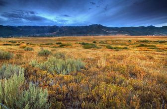 6 Eco-Centers and Nature Preserves to Visit with Kids