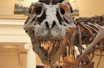 6 Places to Spend a Night at the Museum