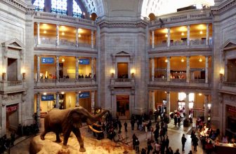 7 Best Children’s Museums in the US