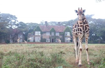 7 Fabulously Unusual Hotels Both Kids and Adults Will Enjoy