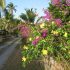 Hotel Review: Bahia Principe El Portillo