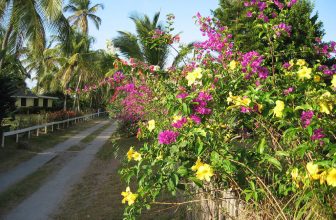 7 Reasons to Visit the Island of Nevis with the Kids
