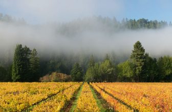 A Luxurious Road Trip Through California’s Wine Country