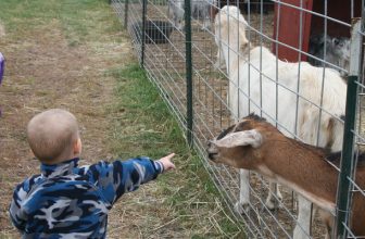 All in a Day’s Play