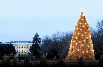America’s Best Tree Lighting Ceremonies