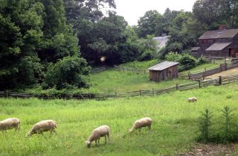 America’s Picturesque Towns to Visit with Kids