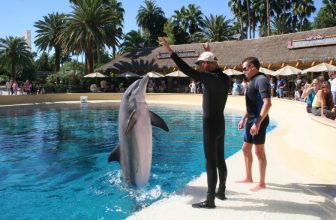 Animal Adventures On and Off the Las Vegas Strip