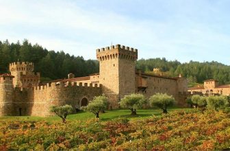 Beginner’s Guide to California Wine Country with Kids