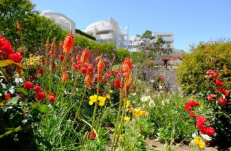 Best Kid-Friendly Museums in Los Angeles for Free