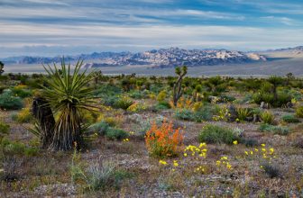 Best Outdoor Adventures in Las Vegas